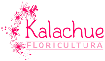 Floricultura Kalachue